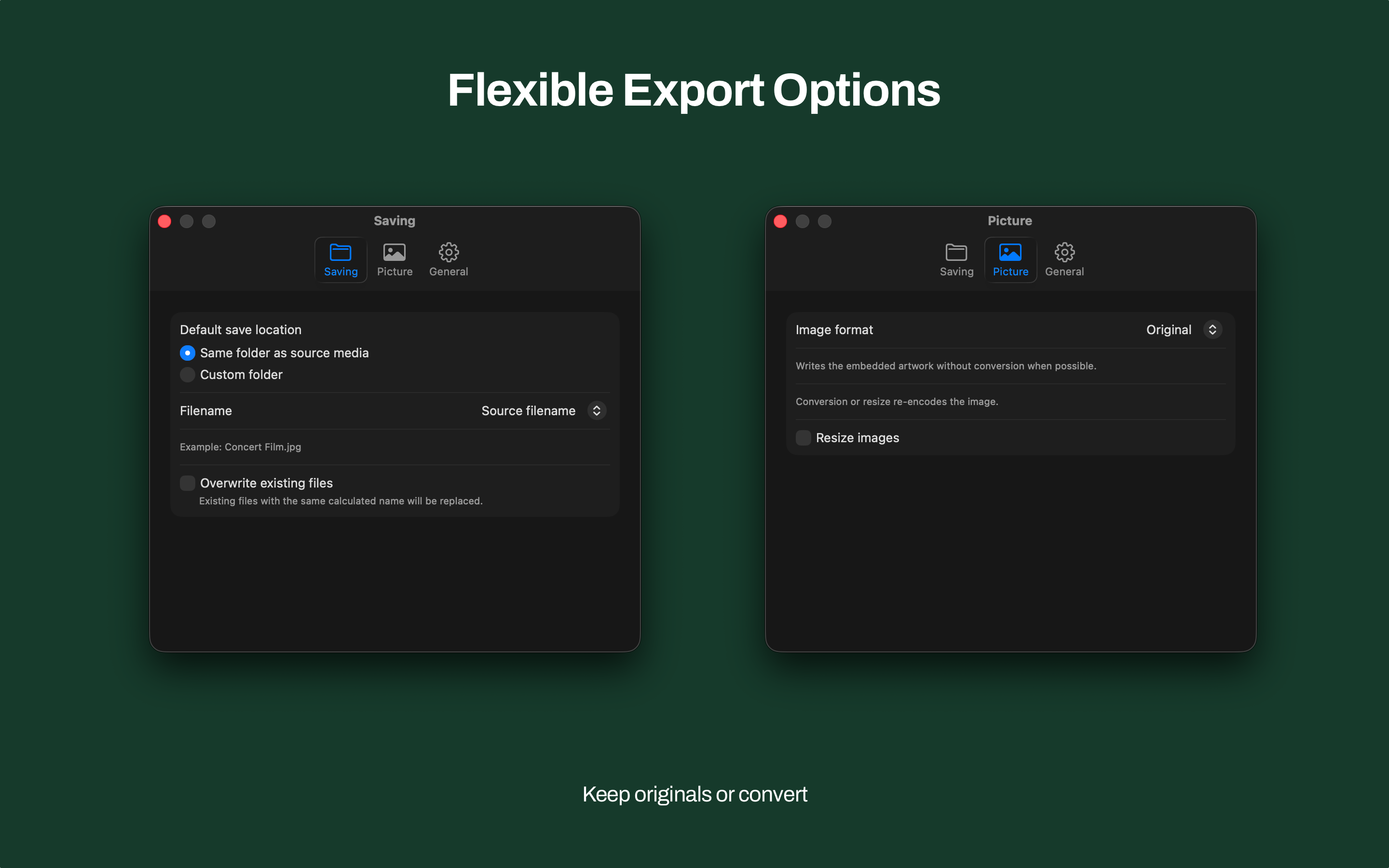 Mac Artwork Extractor Settings showing Saving and Picture options for original or converted export
