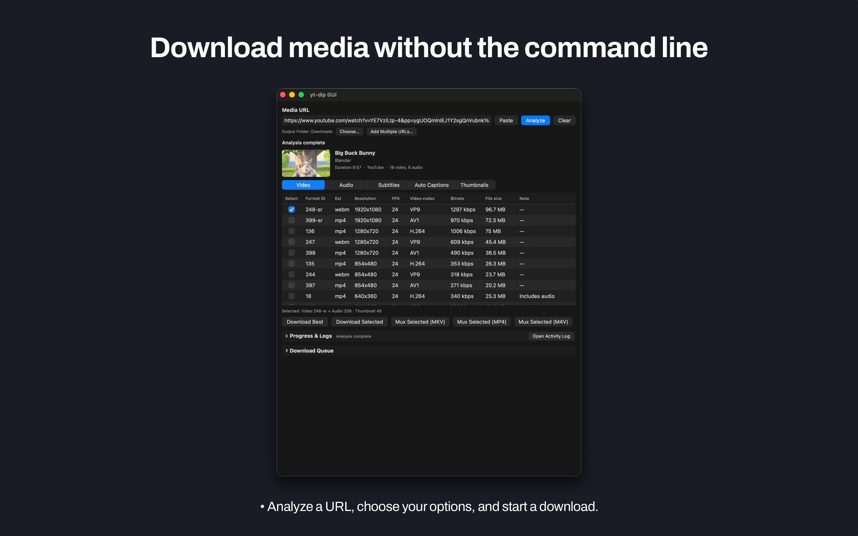 Mac yt-dlp GUI after analyzing a URL, with a format table and download actions