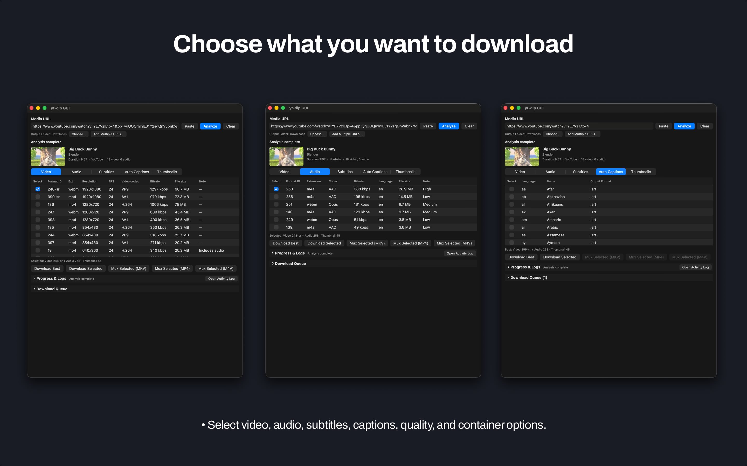 Mac yt-dlp GUI Video, Audio, and Auto Captions tabs for choosing download components